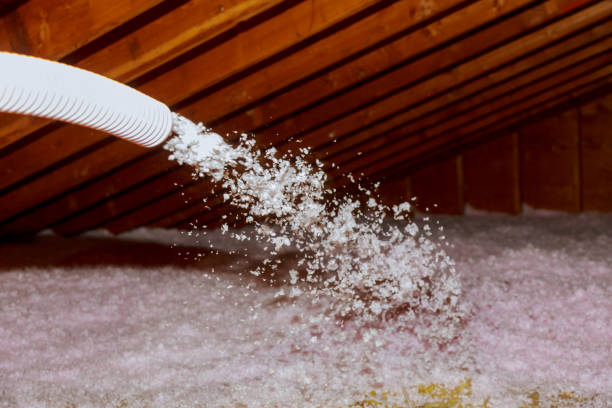 Best Blown-in Insulation in Cypress Gardens, FL