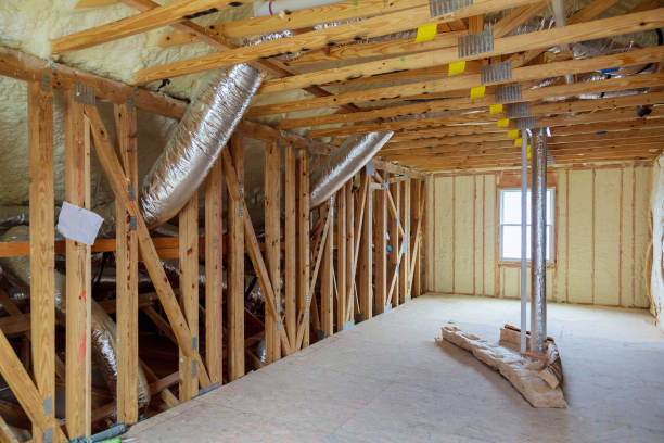 Best Eco-Friendly Insulation in Cypress Gardens, FL