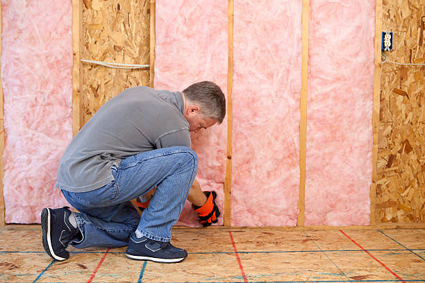 Best Spray Foam Insulation in Cypress Gardens, FL