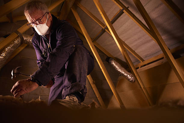 Best Insulation Maintenance and Repair in Cypress Gardens, FL